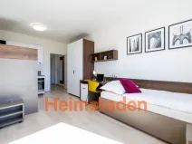 Pronájem bytu 1+kk, Plzeň-Jižní Předměstí, Magisterská, 29 m2