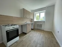 Pronájem bytu 2+1, Třinec, Alešova, 58 m2