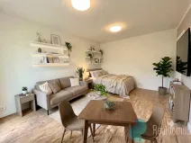 Pronájem bytu 1+1, Praha, Sládkovičova, 26 m2