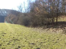 Prodej pole, Snědovice - Sukorady, 5161 m2