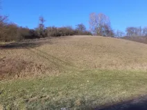 Prodej pole, Snědovice, 3880 m2
