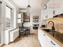 Pronájem bytu 2+1, Břeclav, Růžičkova, 50 m2