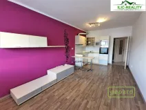 Pronájem bytu 1+kk, Plzeň, K Dolovu, 32 m2