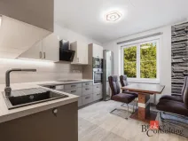 Pronájem bytu 1+1, Plzeň - Skvrňany, U Dráhy, 40 m2