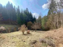 Prodej pozemku, Rokytnice v Orlických horách, 858 m2