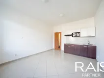 Prodej bytu 1+kk, Brno, Vranovská, 28 m2