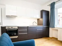 Pronájem bytu 1+kk, Praha - Nusle, U Pernštejnských, 30 m2