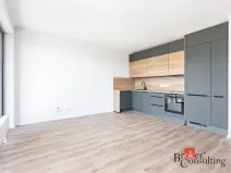Pronájem bytu 1+kk, Plzeň - Východní Předměstí, Kartónová, 35 m2