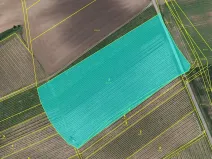 Prodej sadu/vinice, Čejkovice, 16688 m2