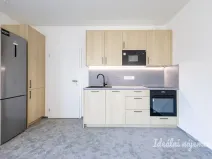 Pronájem bytu 1+kk, Praha - Vysočany, Gerstelova, 47 m2
