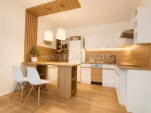 Prodej bytu 2+kk, České Budějovice - České Budějovice 2, Dlouhá, 45 m2