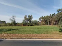 Prodej lesa, Luženičky, 15277 m2