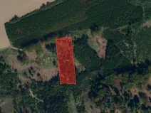 Prodej lesa, Kaliště, 5121 m2
