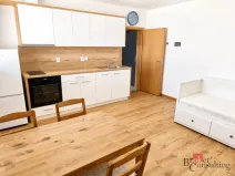 Pronájem bytu 1+kk, Plzeň - Skvrňany, Domažlická, 25 m2