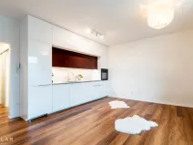 Pronájem bytu 1+kk, Hranice - Hranice I-Město, Pod Nemocnicí, 43 m2