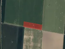 Prodej pole, Kyselovice, 8330 m2