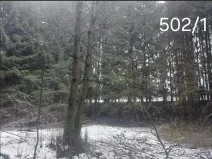Prodej lesa, Hojovice, 985 m2