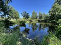 Prodej pozemku pro bydlení, Břeclav - Poštorná, 4463 m2