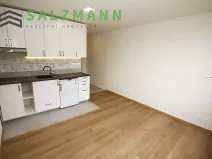 Pronájem bytu 1+kk, Dolní Bělá, 2 m2