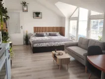 Prodej bytu 1+kk, Písek - Václavské Předměstí, Hostivítova, 35 m2