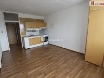 Pronájem bytu 1+kk, Karlovy Vary - Rybáře, U Koupaliště, 27 m2