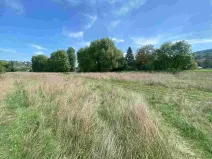 Dražba louky, Všenory, 672 m2