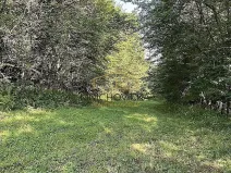 Prodej sadu/vinice, Ondřejov, Břeský vrch, 3453 m2
