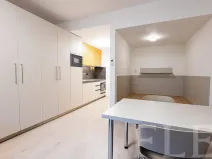 Pronájem bytu 1+kk, Praha - Žižkov, Hartigova, 34 m2