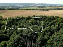 Prodej sadu/vinice, Liteň - Běleč, 9074 m2