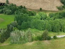 Prodej louky, Borušov, 6111 m2