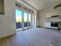 Pronájem bytu 1+kk, Brno, Provazníkova, 27 m2