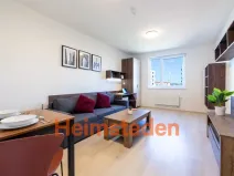 Pronájem bytu 2+1, Plzeň - Jižní Předměstí, Magisterská, 46 m2