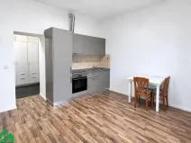 Pronájem bytu 1+kk, Praha - Libeň, V Holešovičkách, 30 m2