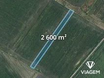 Prodej pole, Velké Bílovice, 2600 m2