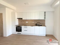 Pronájem bytu 2+kk, Opava - Předměstí, Mánesova, 41 m2