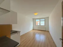 Pronájem bytu 1+kk, Praha - Vinohrady, Římská, 25 m2
