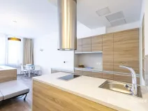 Pronájem bytu 1+kk, Praha - Nové Město, U půjčovny, 38 m2