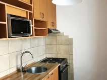 Pronájem bytu 1+1, Ostrava, U Lesa, 34 m2