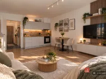 Pronájem bytu 1+kk, Plzeň - Jižní Předměstí, Železná, 35 m2