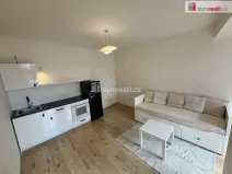 Pronájem bytu 1+kk, Praha - Krč, Budějovická, 25 m2