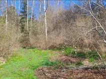 Prodej pozemku, Kraslice, 2460 m2