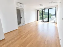 Pronájem bytu 2+kk, Praha - Karlín, Švarcova, 56 m2