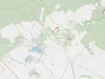 Dražba lesa, Hluboké Mašůvky, 504 m2