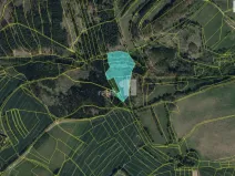 Prodej pole, Koberovice - Lohenice, 19151 m2