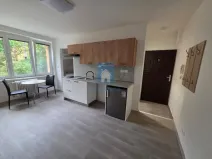 Pronájem bytu 1+kk, Plzeň, Táborská, 25 m2