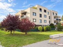 Pronájem bytu 1+kk, Hradec Králové - Pražské Předměstí, Václavkova, 32 m2
