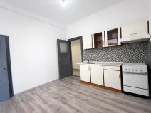 Pronájem bytu 1+1, Karlovy Vary, K. Čapka, 46 m2