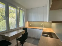 Pronájem bytu 1+1, Luhačovice, 35 m2
