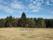 Prodej pozemku, Přední Výtoň, 13285 m2