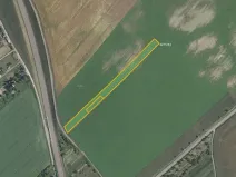 Prodej pole, Kuchařovice, 6602 m2